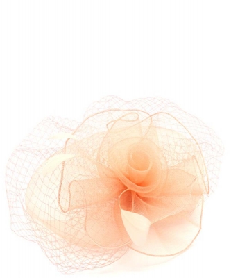 Mesh Net Flower Hair Clip HA300037 NUDE